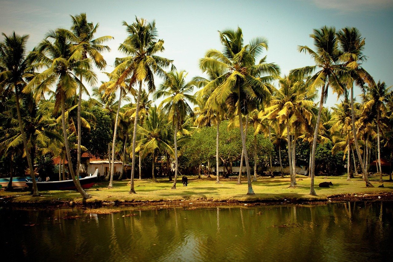 kerala family packages